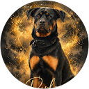 ajlil veronique profile picture